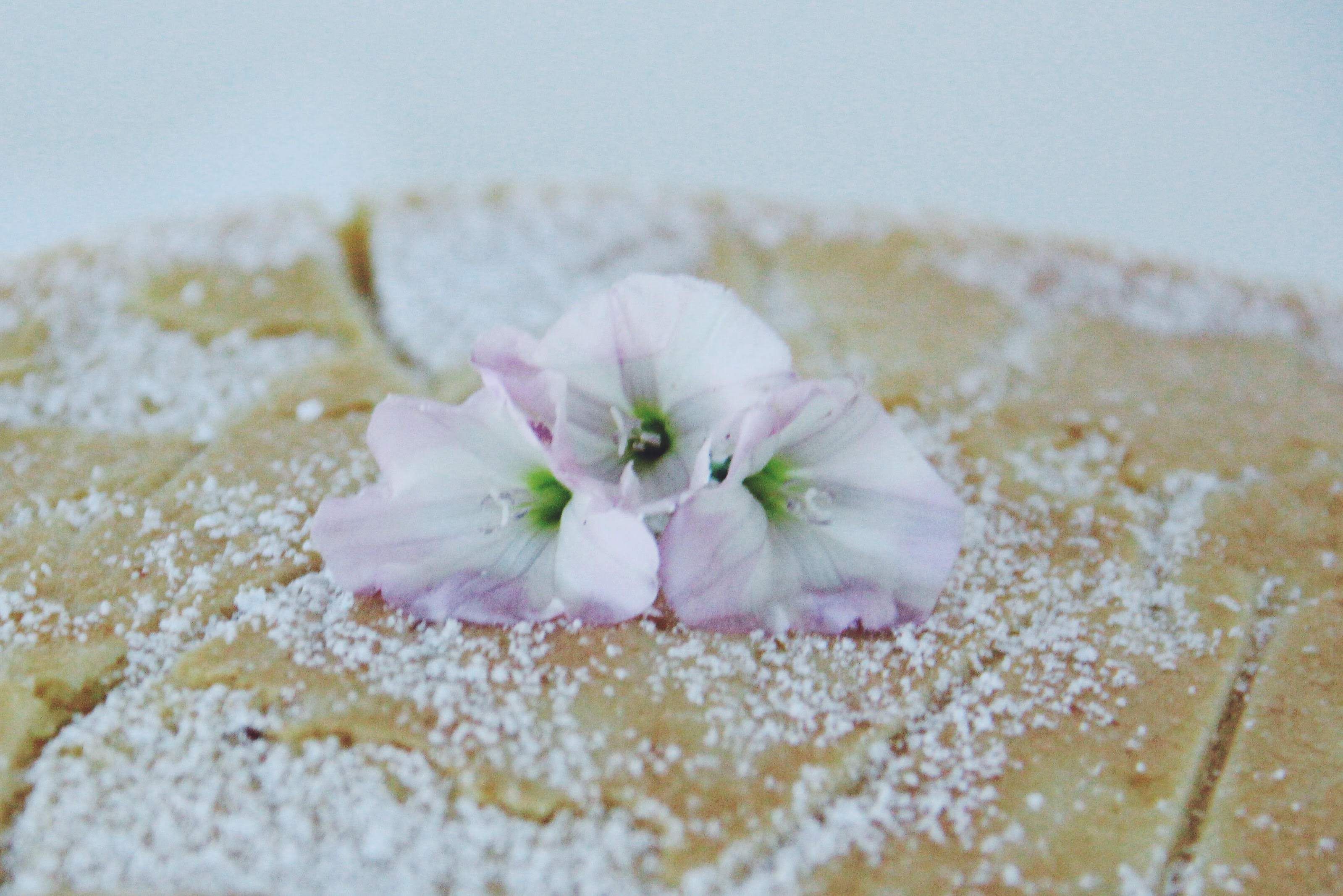 Processed with VSCO with f2 preset